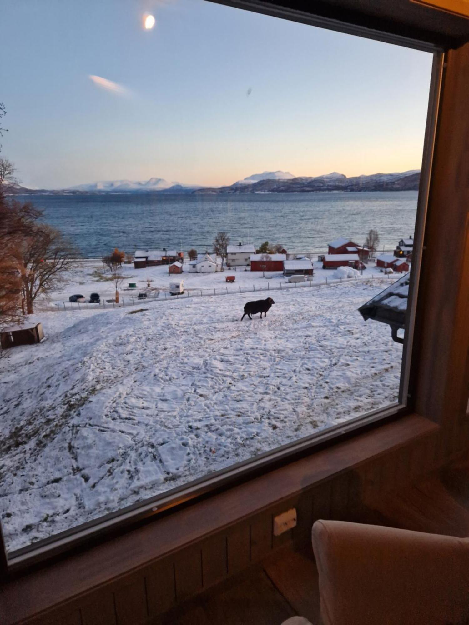 Yggdrasil Farmhotel Retreat, & Yoga Hotell Straumsbukta
