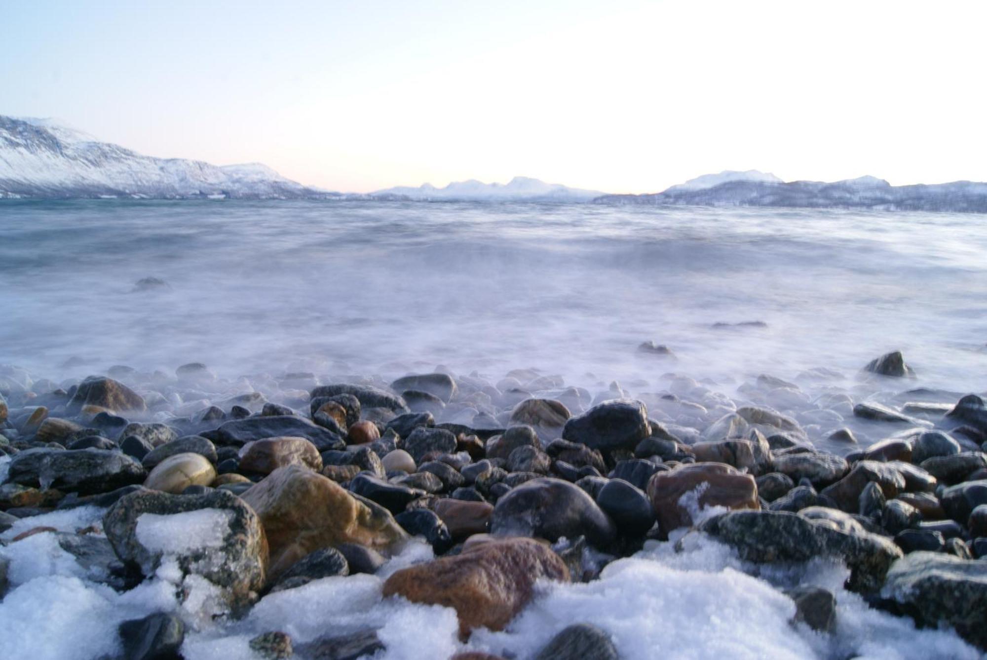 Yggdrasil Farmhotel Retreat, & Yoga Hotel Straumsbukta