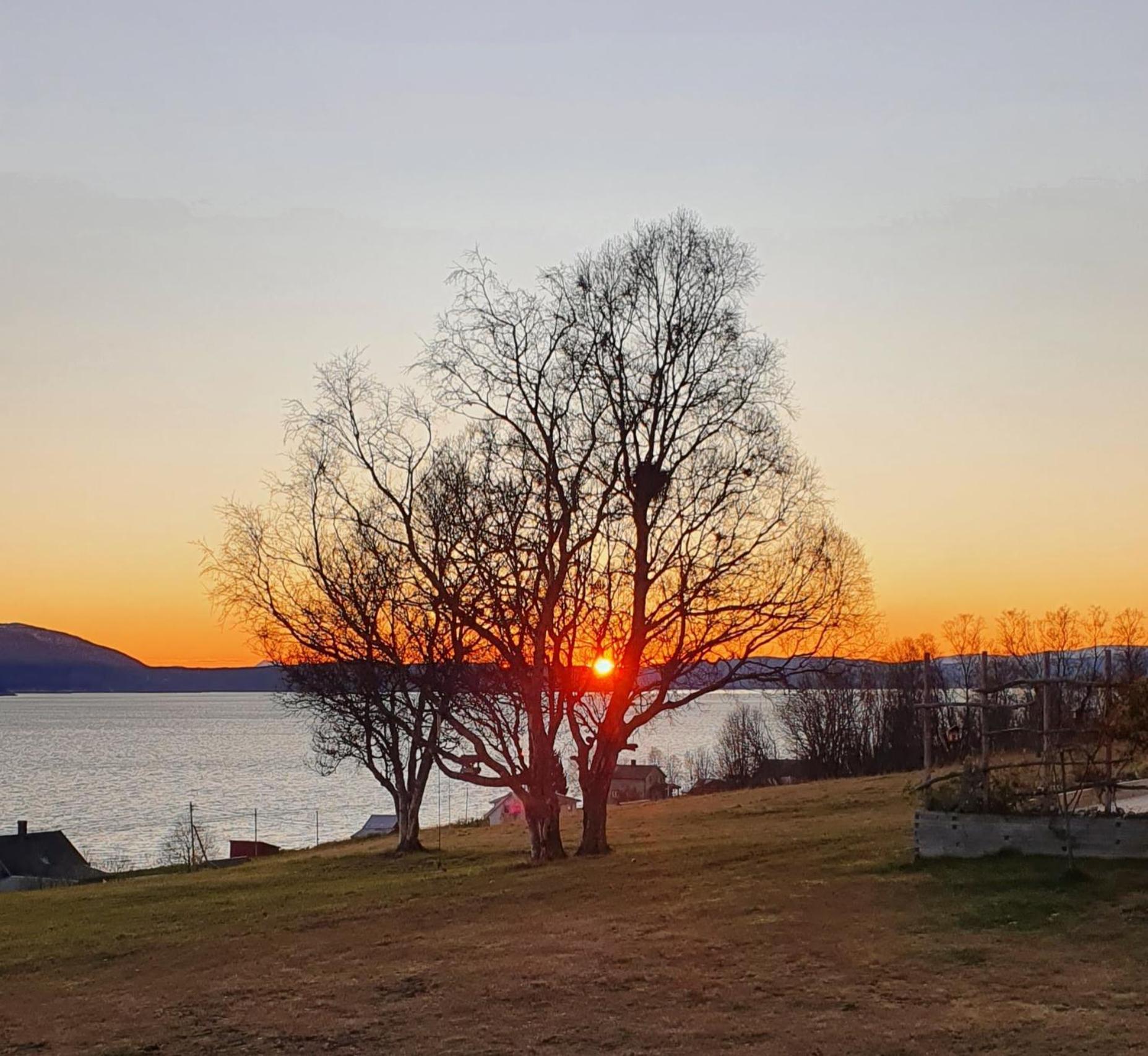 Hotell Yggdrasil Farmhotel Retreat, & Yoga Straumsbukta