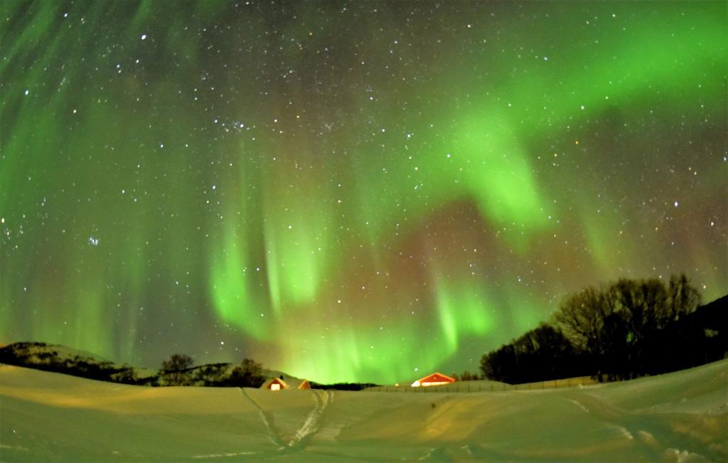 Hotell Yggdrasil Farmhotel Retreat, & Yoga
