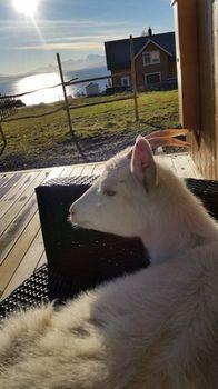 Yggdrasil Farmhotel Retreat, & Yoga