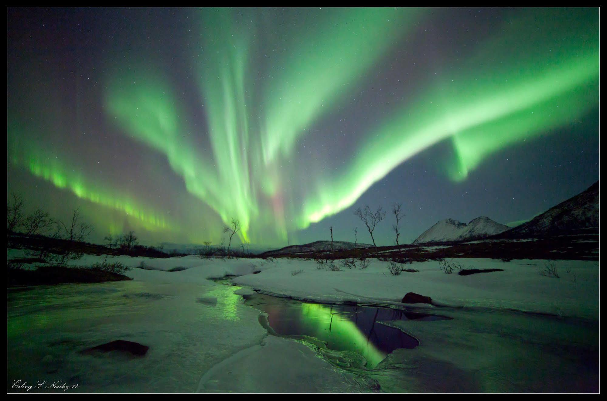 Hotell Yggdrasil Farmhotel Retreat, & Yoga Straumsbukta